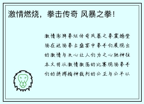 激情燃烧，拳击传奇 风暴之拳！